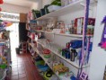 /album/variedades/sam-0690-jpg/